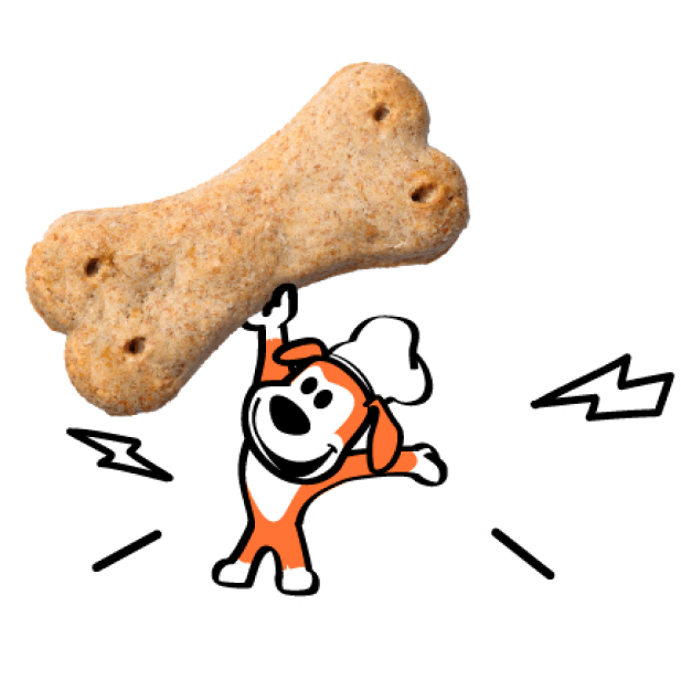 illustration of a dog holds a dog treat
