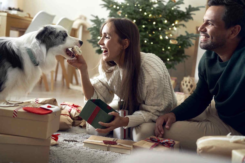 Happy couple sitting on the floor in the room and giving Christmas present to their dog