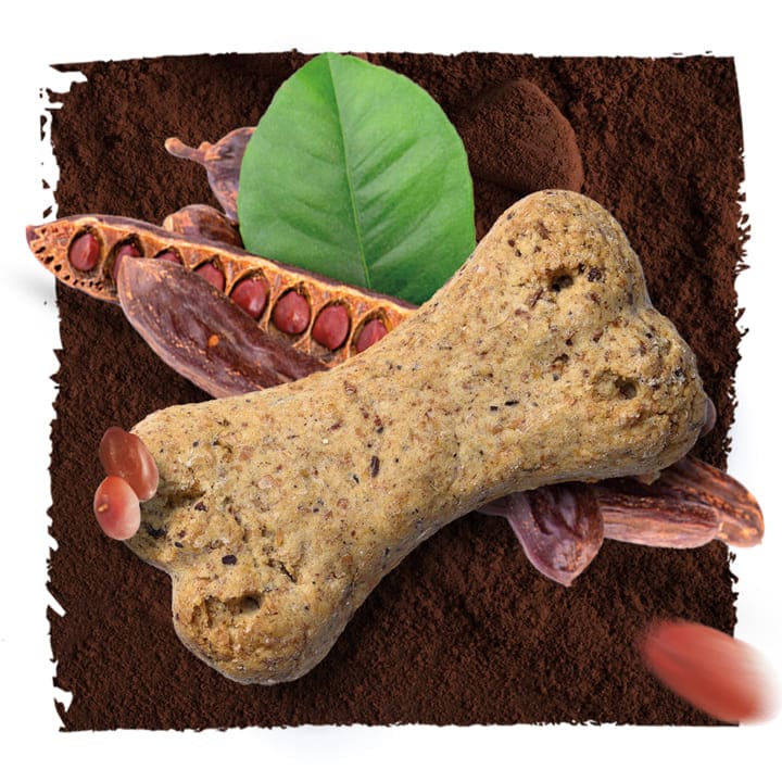 dog treat and carob