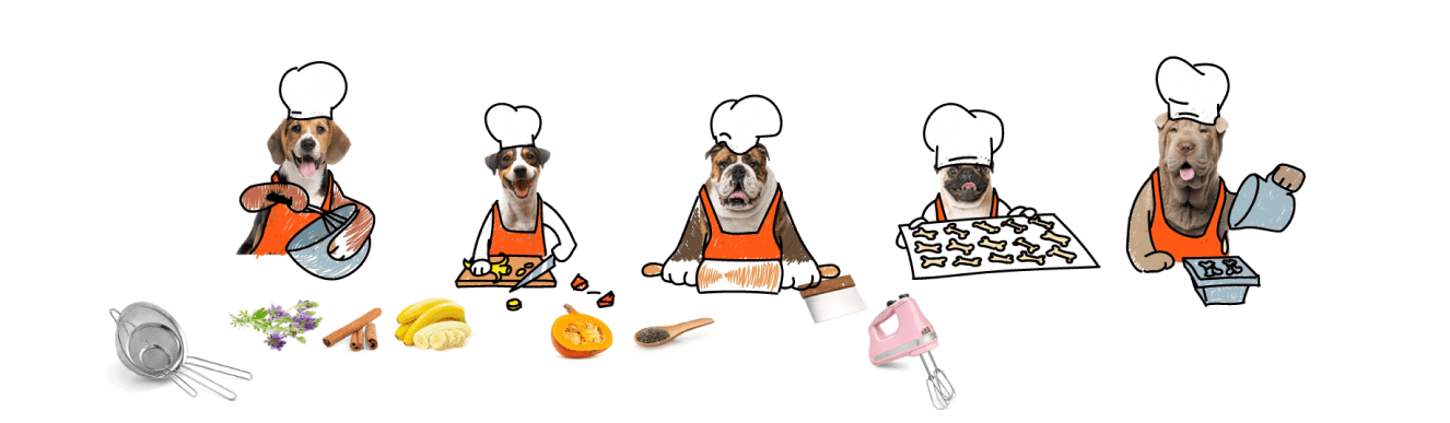 five dogs preparing food