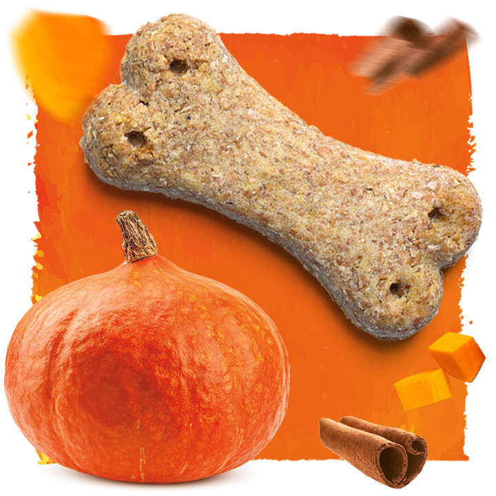 dog treat in the bone shape and pumpkin