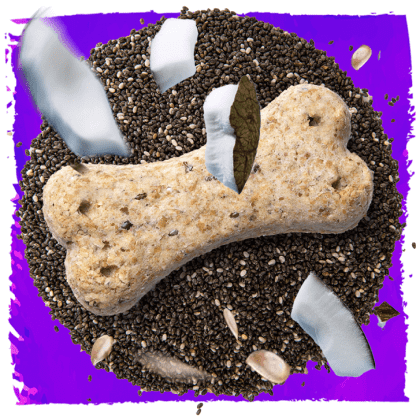 natural dog treat, chia seeds and parts of coconut