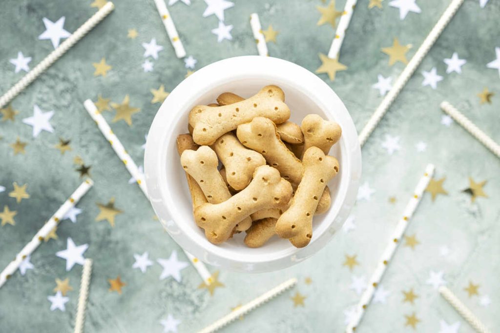 Dog organic treats in white bowl on festive birthday green background.