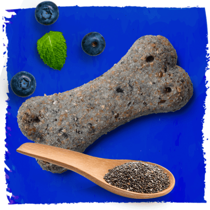 dog treat and blueberries and spoon of chia seeds