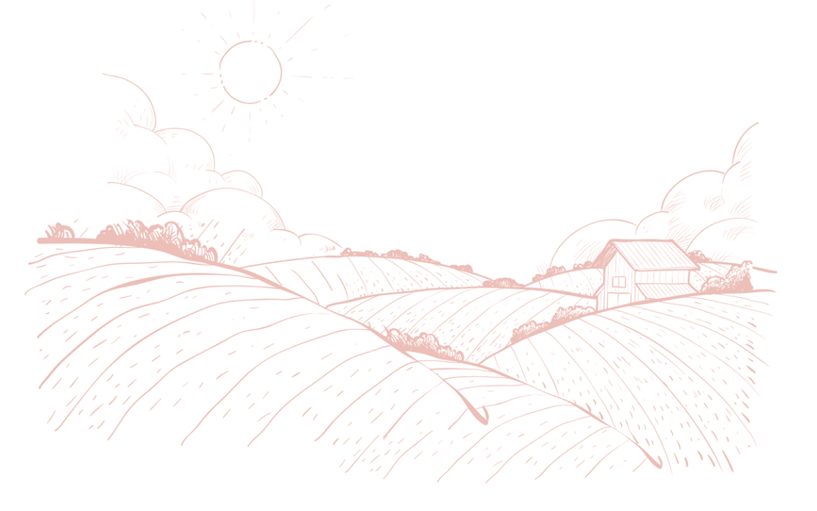 illustration of farm and fields of nature