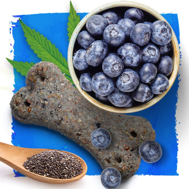 dog treats in the bone shape, chia seed and blueberries