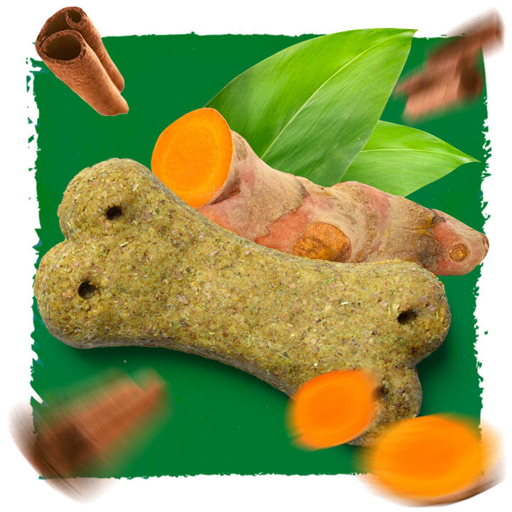 dog treat in the bone shape and turmeric