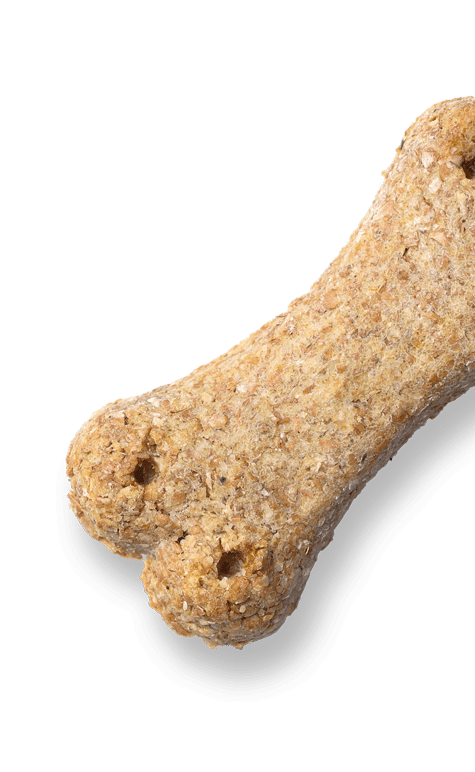 natural functional dog treat in the shape of a bone