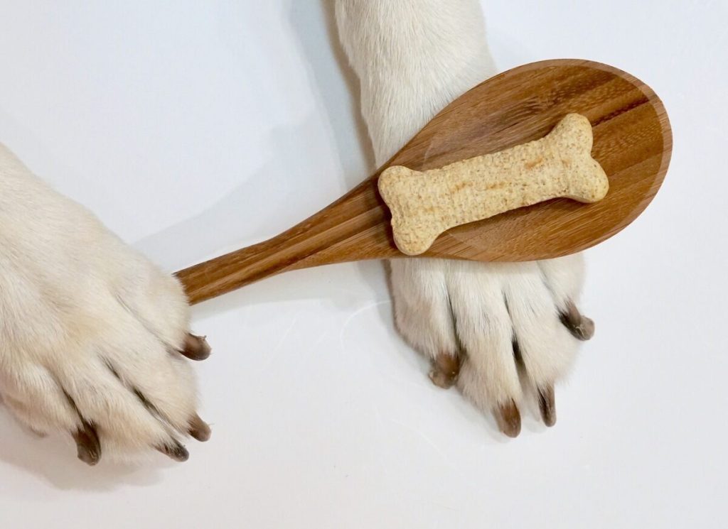 Dog paws holding a dog treat on a wooden spoon