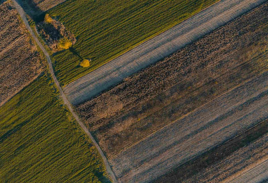 aerial view over cereal fields in atman