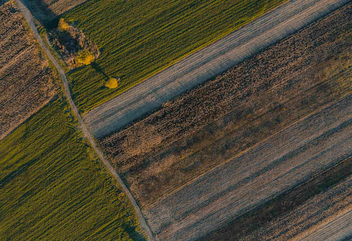 aerial view over cereal fields in autumn