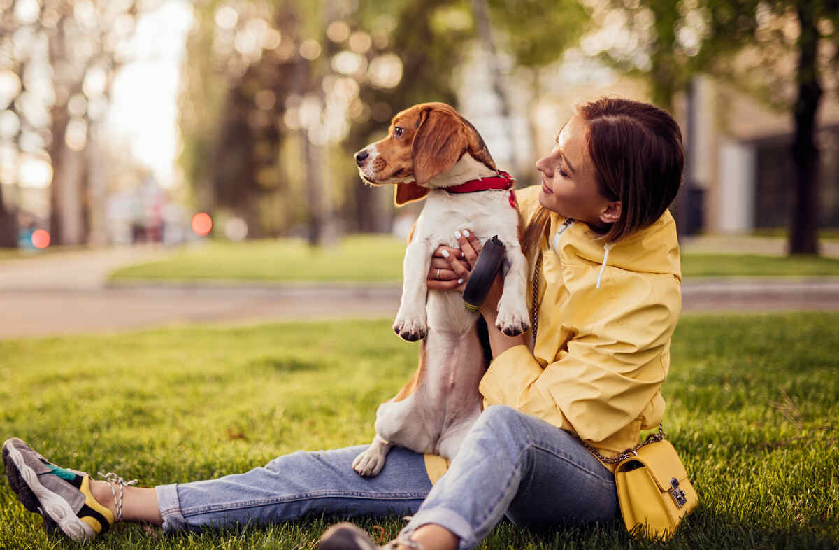 Side view of positive female owner in yellow jacket and jeans sitting on grass in park and embracing cute Beagle dog