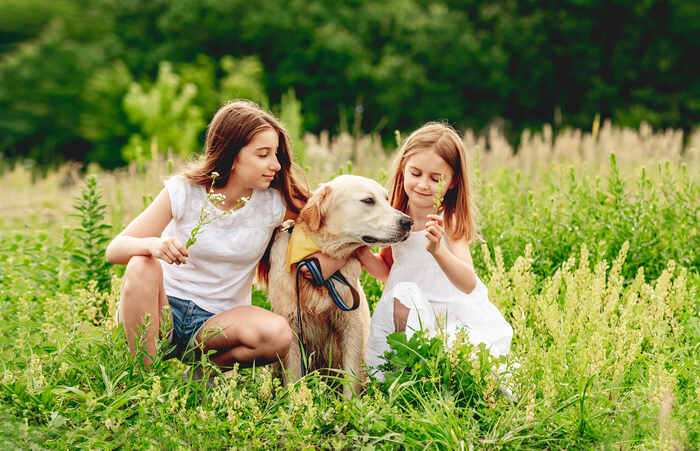 Cute girls with golden retriever dog sitting on blooming meadow