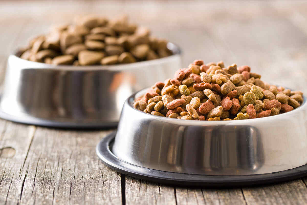 two metal bowls with dry pet food