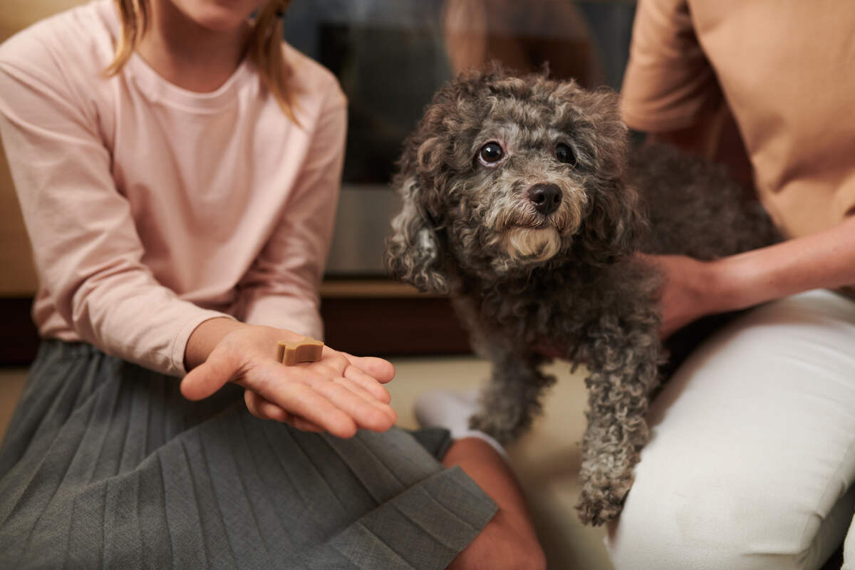 Mother and daughter giving superfood treat to small dog