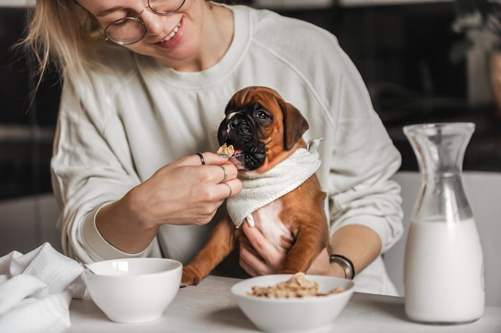 owner feeding his puppy with treats