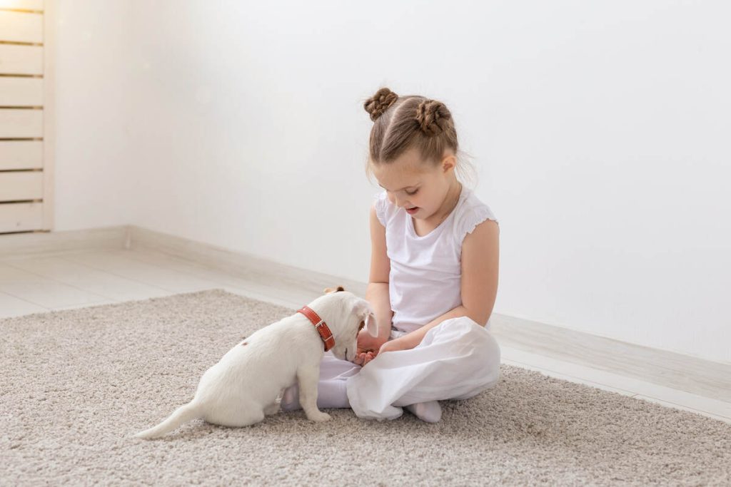 Puppy with his owner sitting on the floor and eating a treat