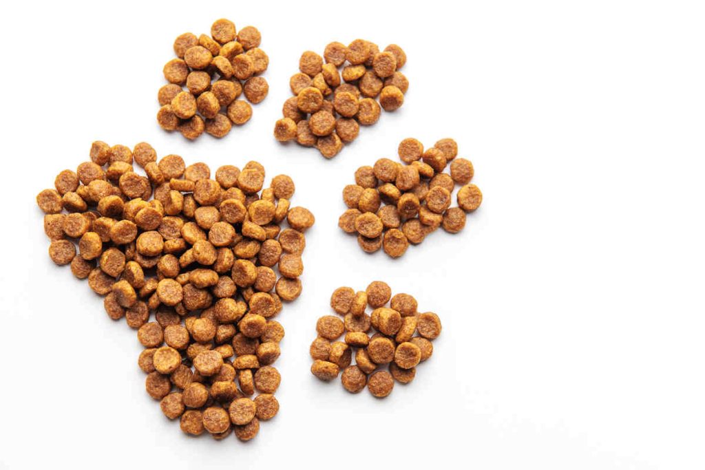 a dog's paw print consists of natural whole grain dog food pellets on a white background