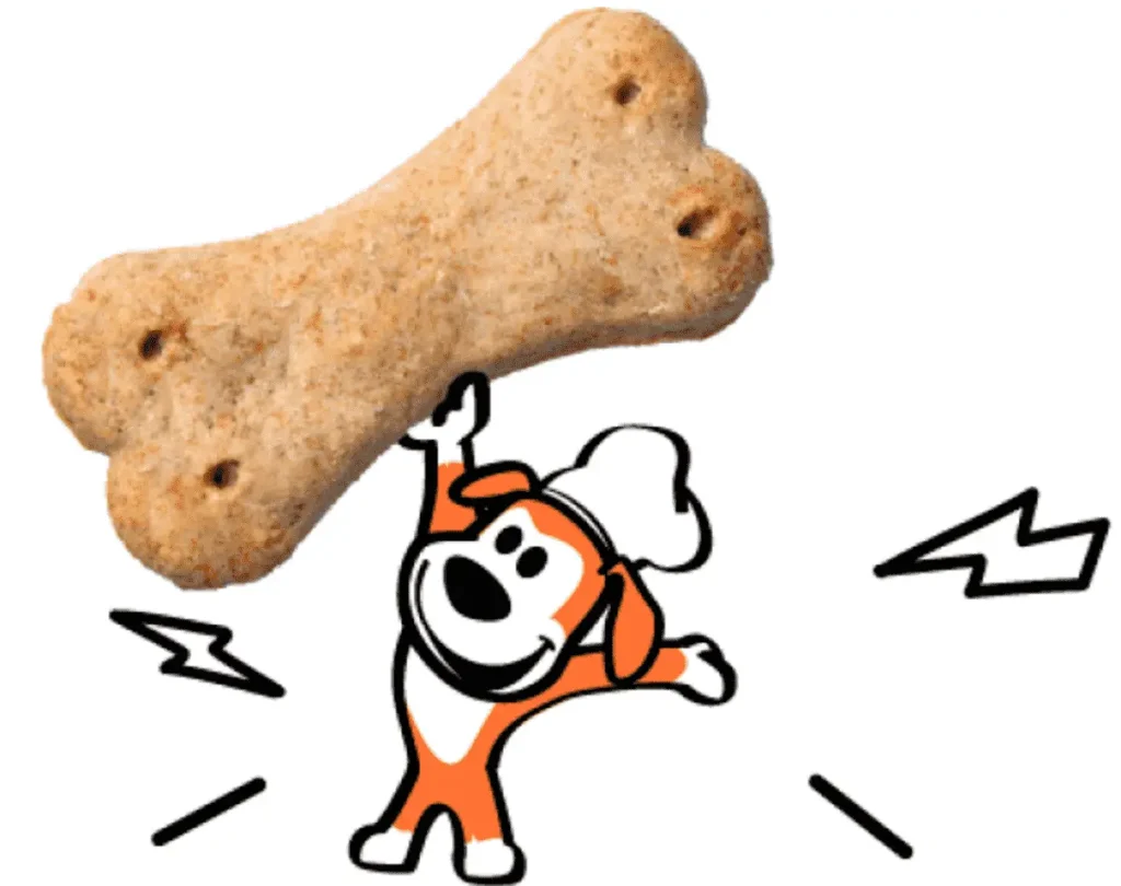 little chef functional dog treat