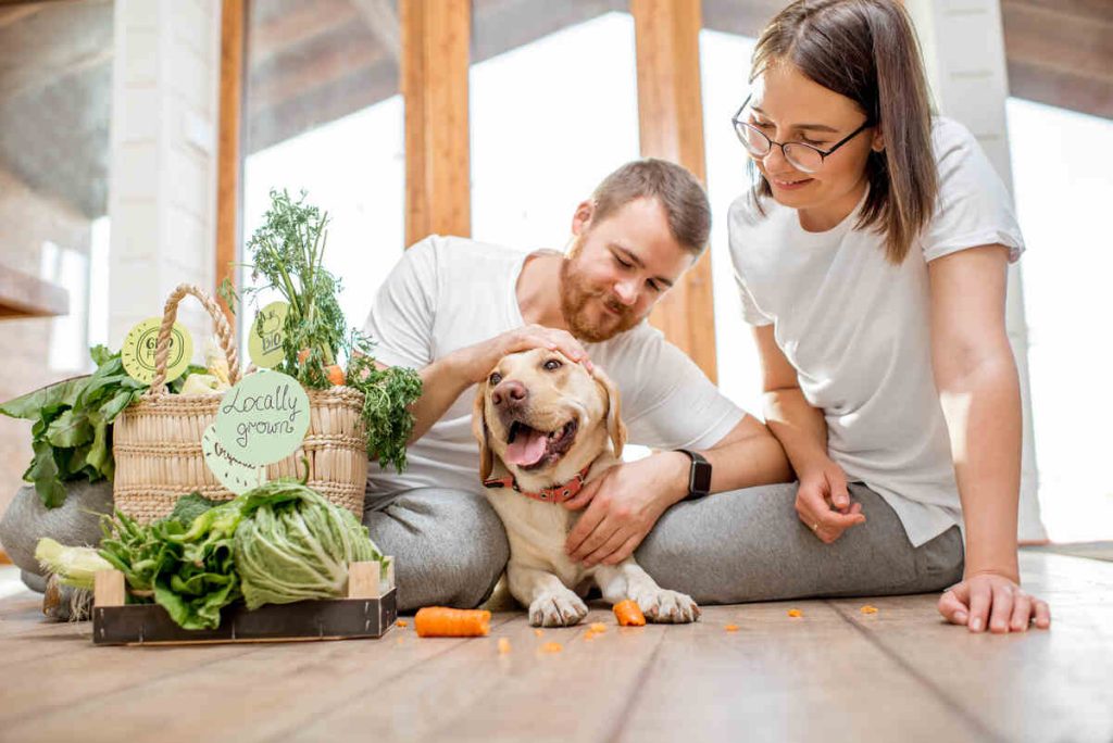 Young lovely couple sitting together with their dog and fresh green vegetables at home