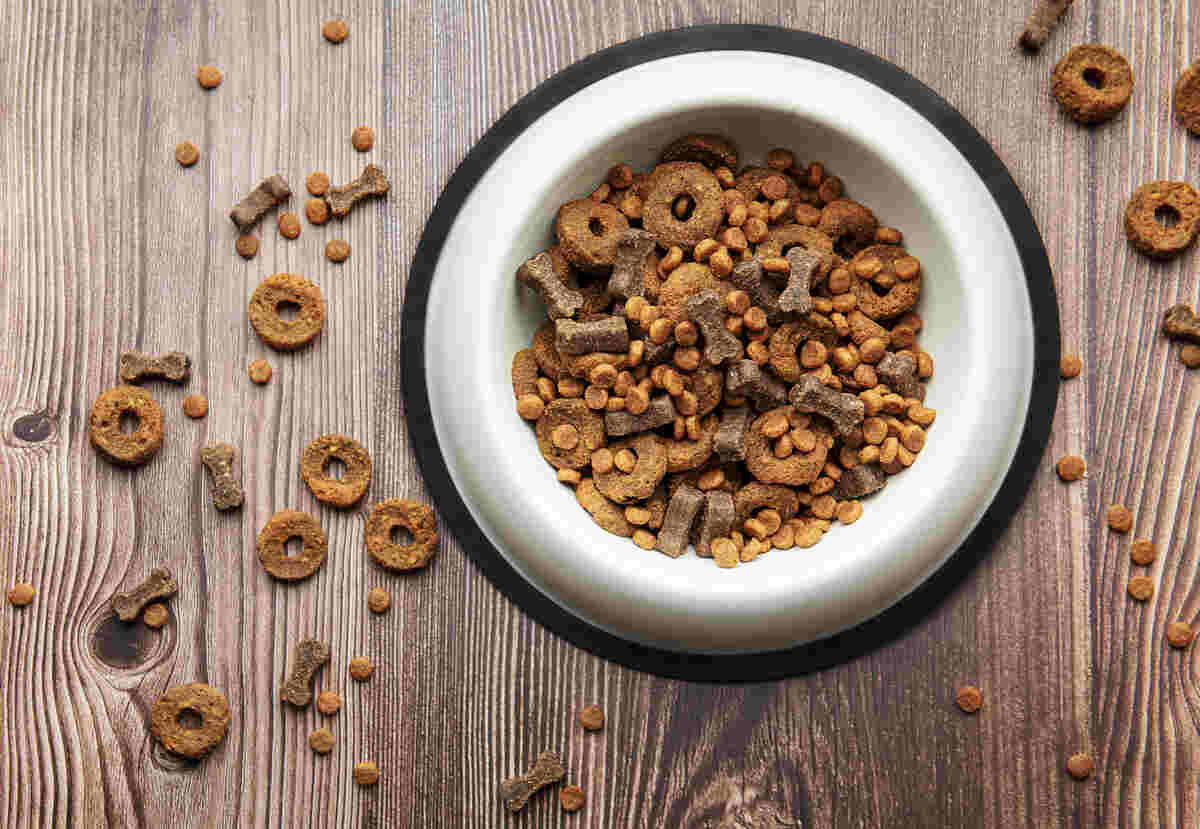 a bowl of natura dog food on a wooden floor