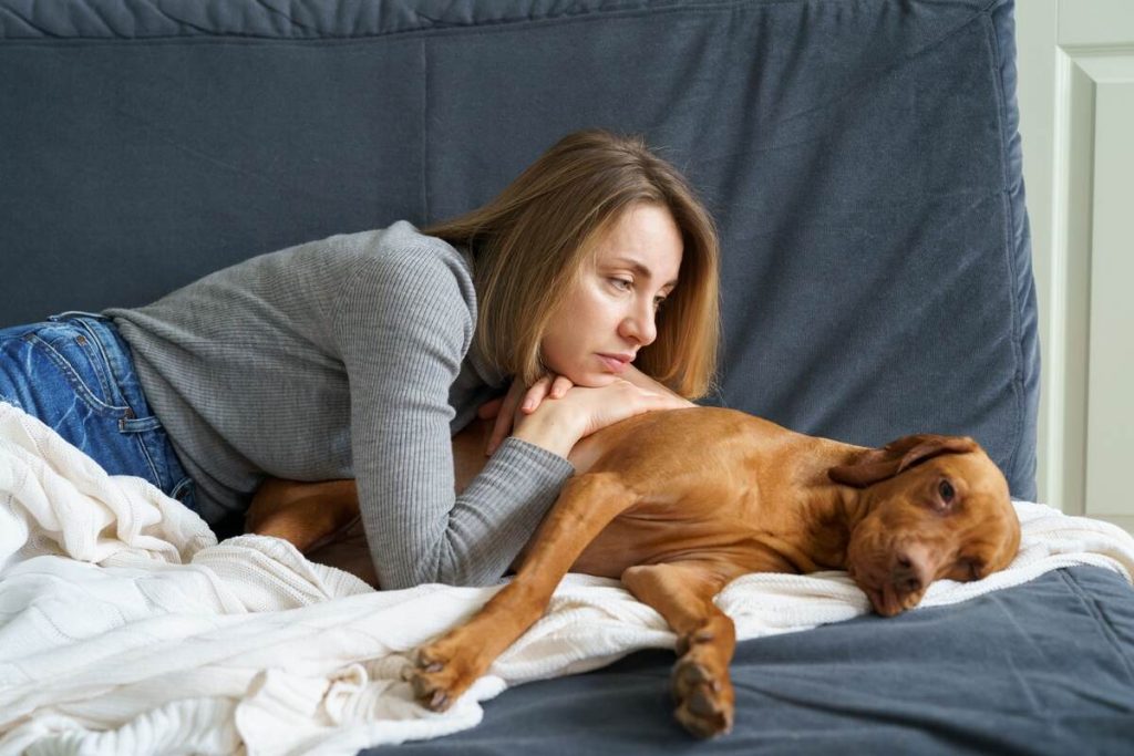 woman caring of old sick dog on the couch