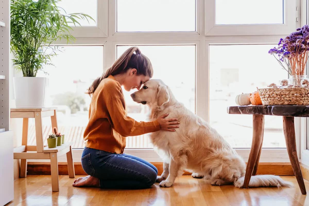 beautiful woman hugging her adorable golden retriever in the house