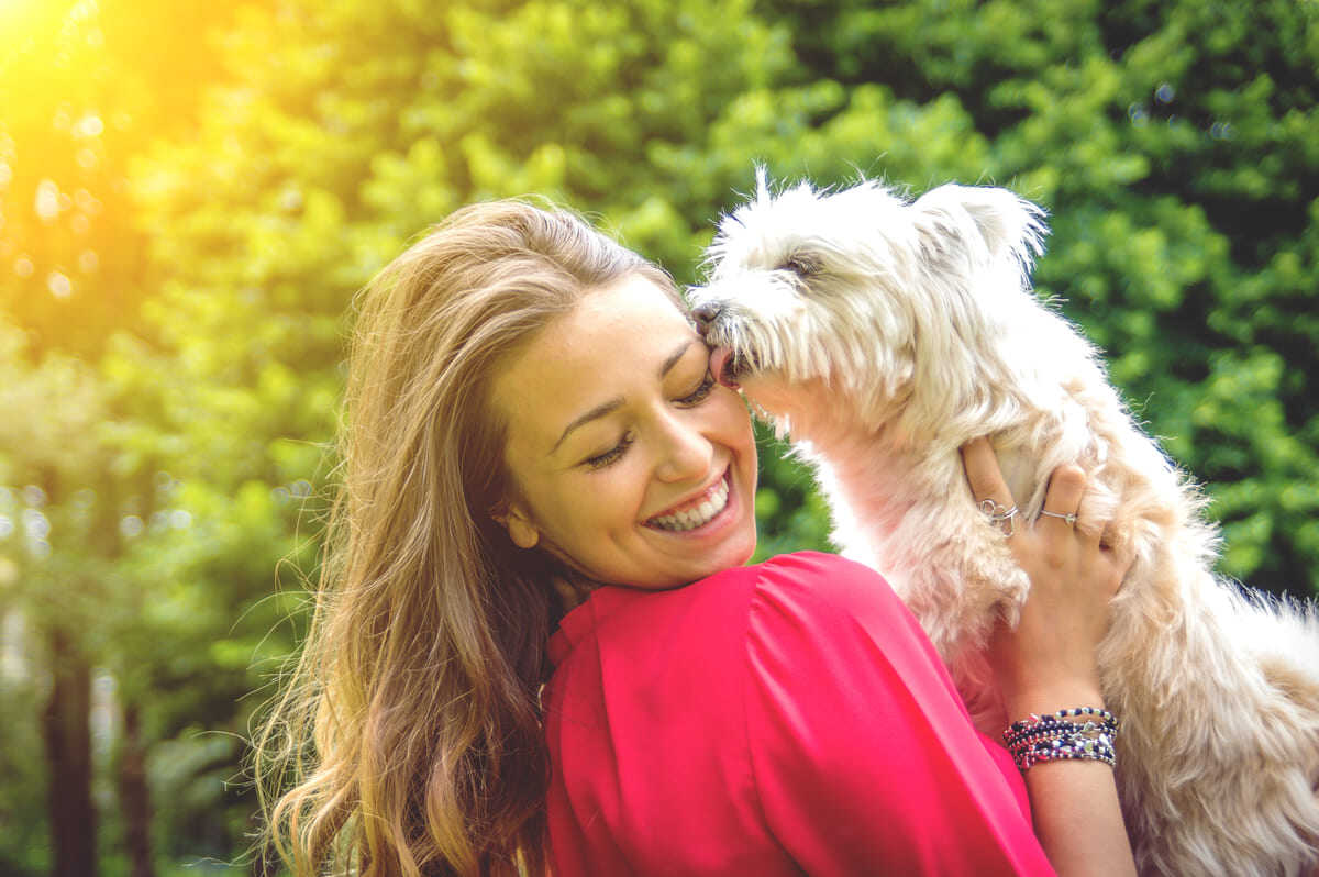 white puppy dog licking his owner's face