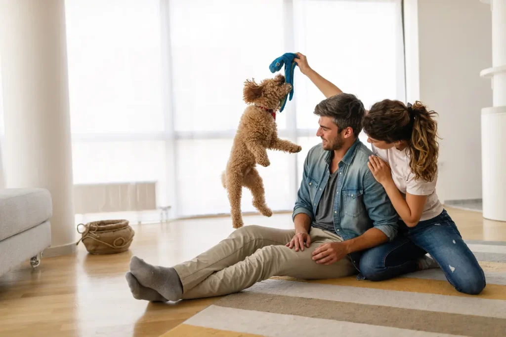 young couple playing with dog in the living room