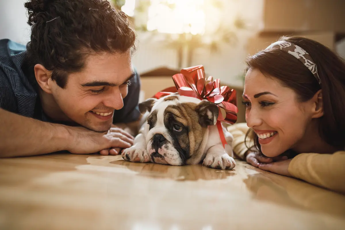 young smiling couple with new puppy in the house
