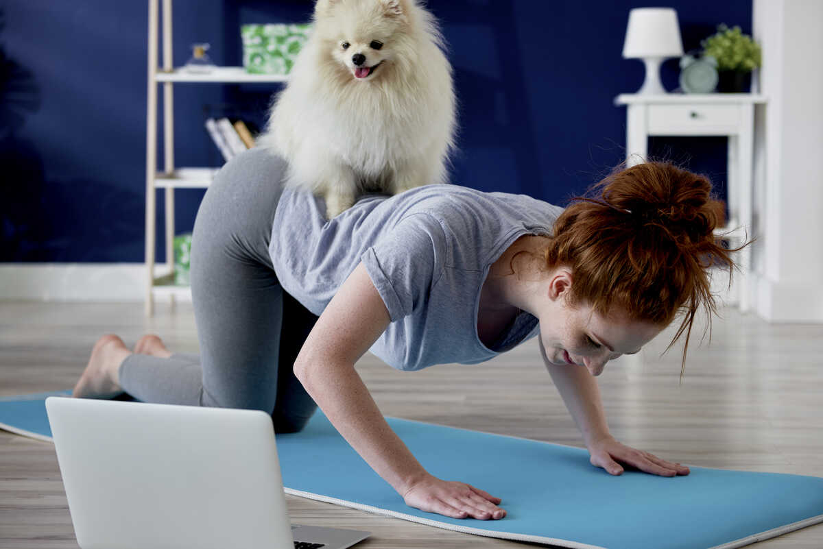 Dog disturbing woman in home exercising