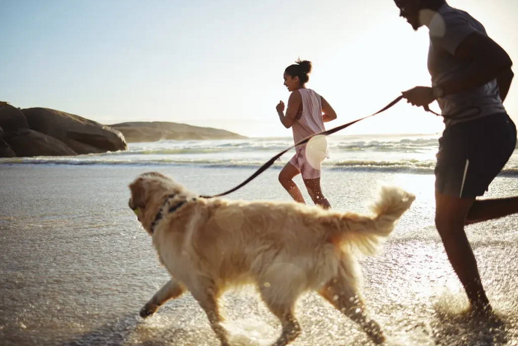 dog running with a smiling couple on beach