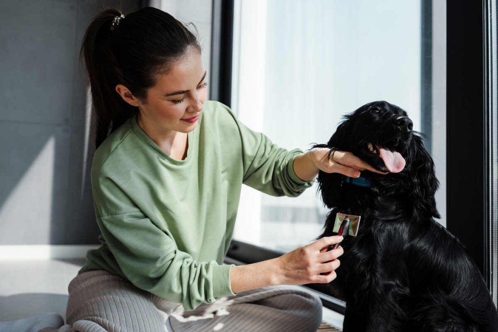 happy woman grooming her dog