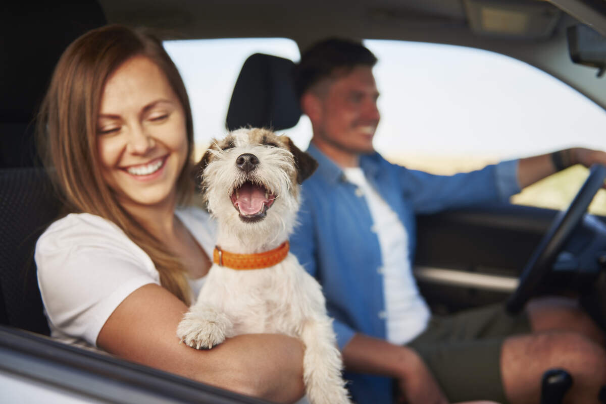 young couple and their dog traveling together by a car
